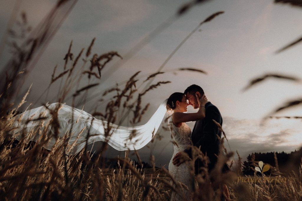 Elopement
