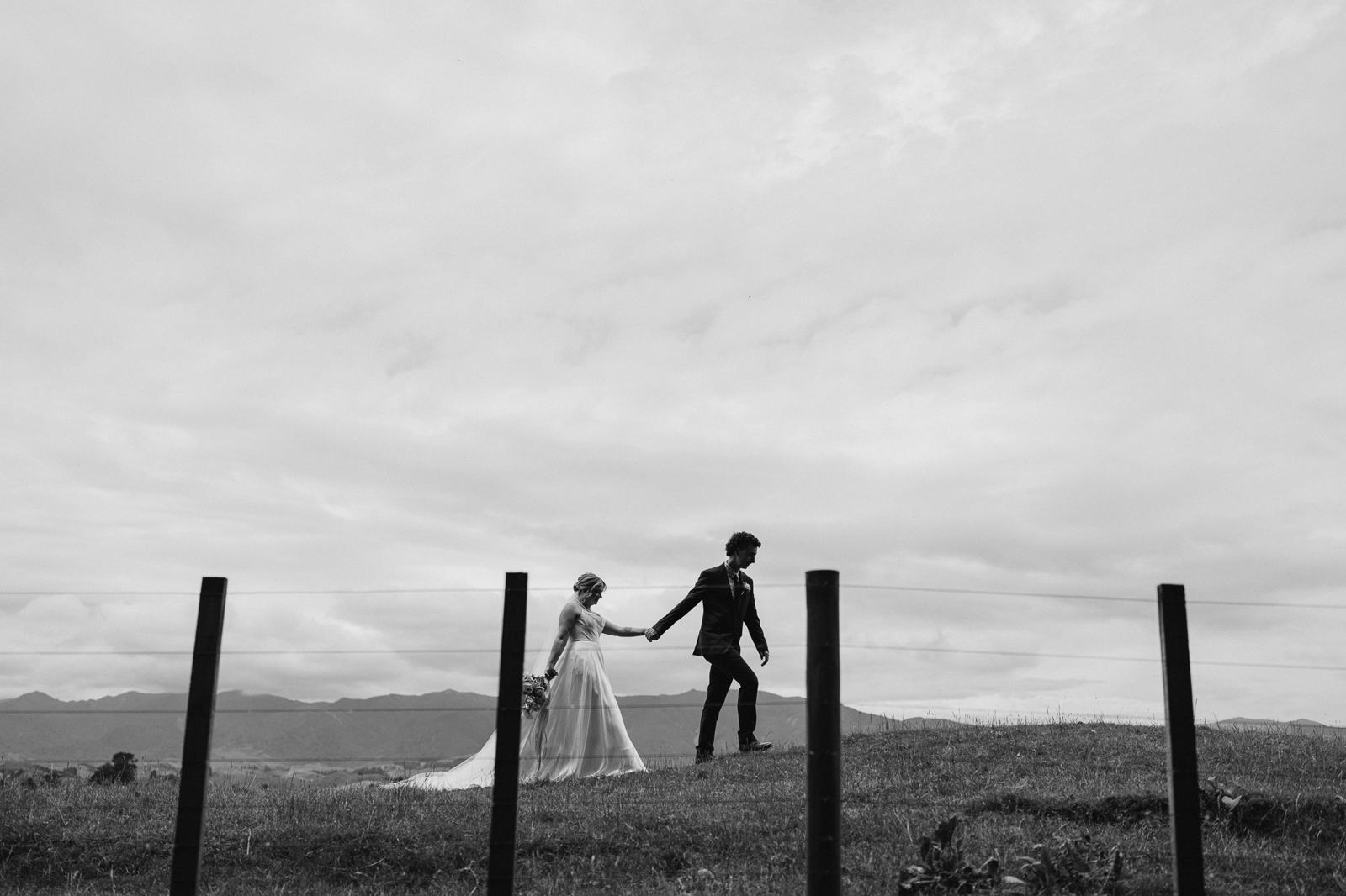 Black and white, a fence line