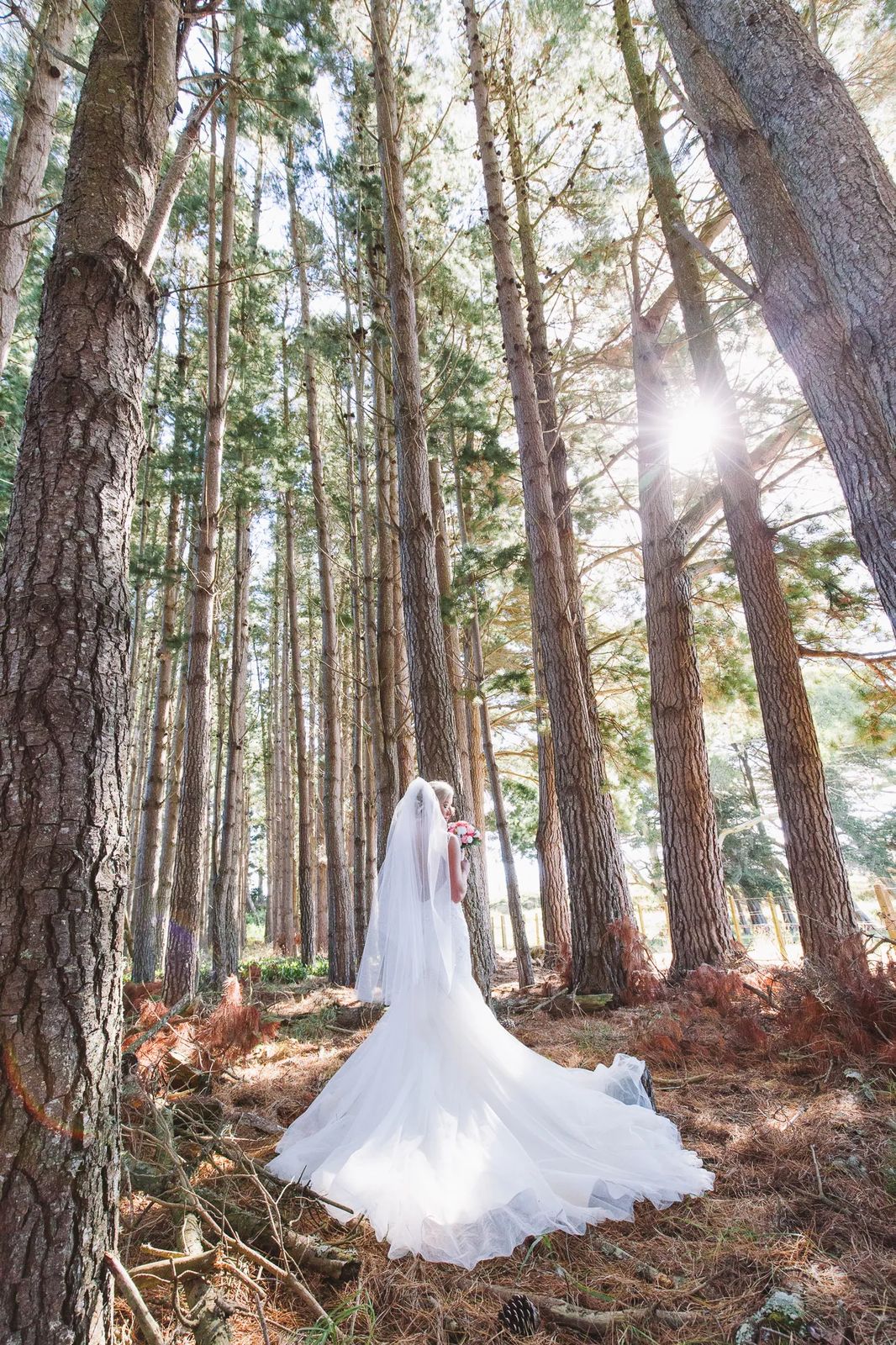 A bride in a long gown among tall pine trees